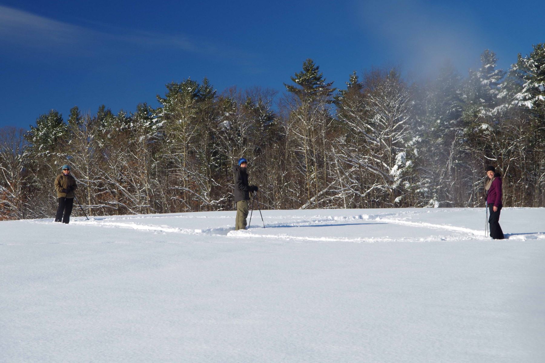 Join Us for a Friday Hiking Meetup at Bobcat Trail