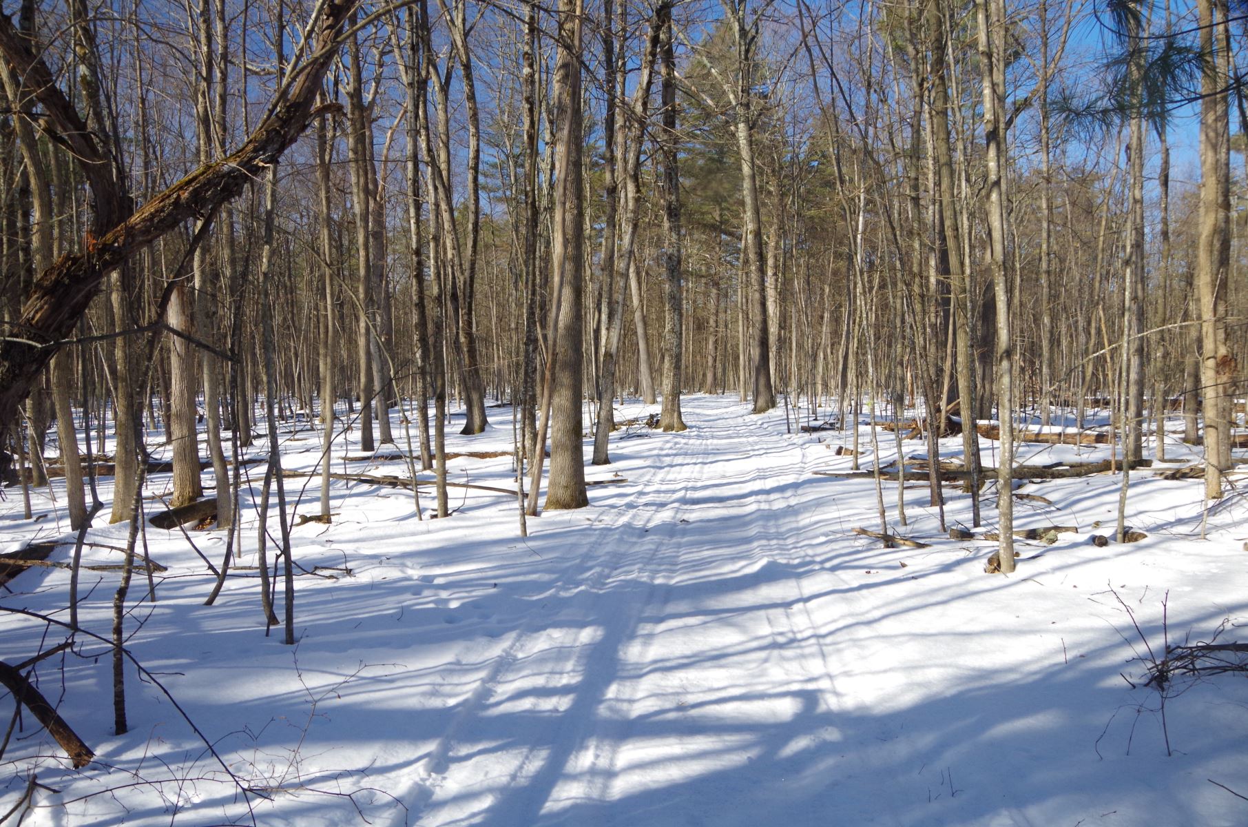 Join Us for a Friday Hiking Meetup at Florence Hathaway Trail