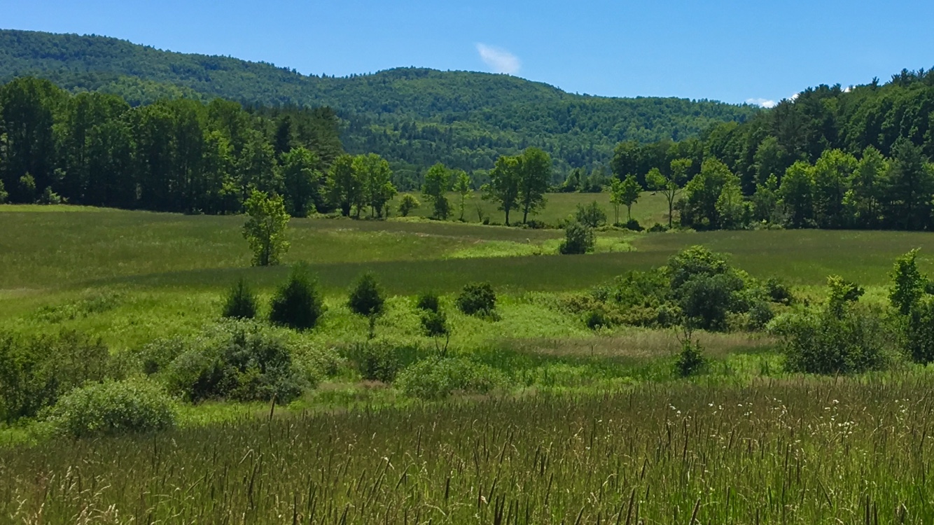 Friday Working Hike @ DaCy Meadow Farm Trail