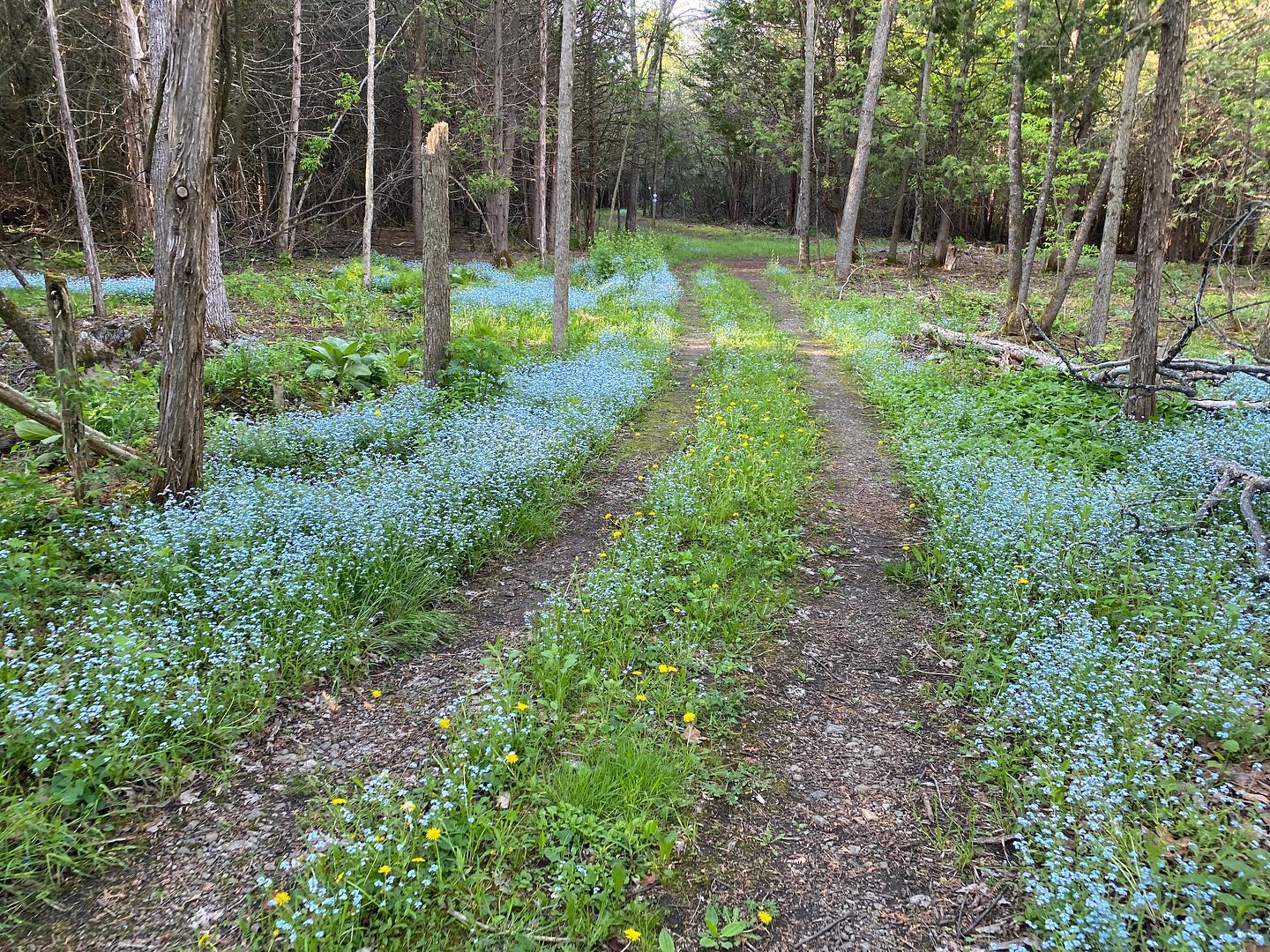 Working Hike @ Essex Gateway Trail