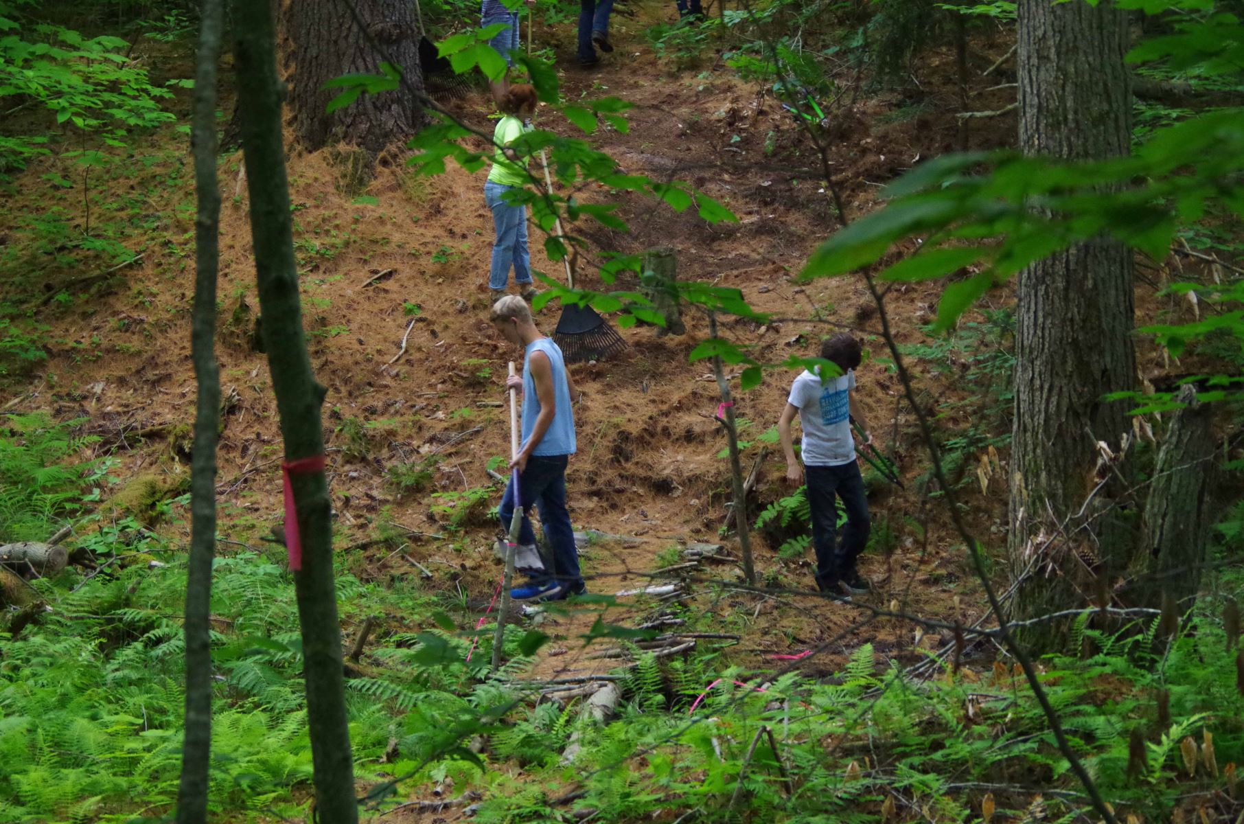 Friday Working Hike @ McConley Spring Trail