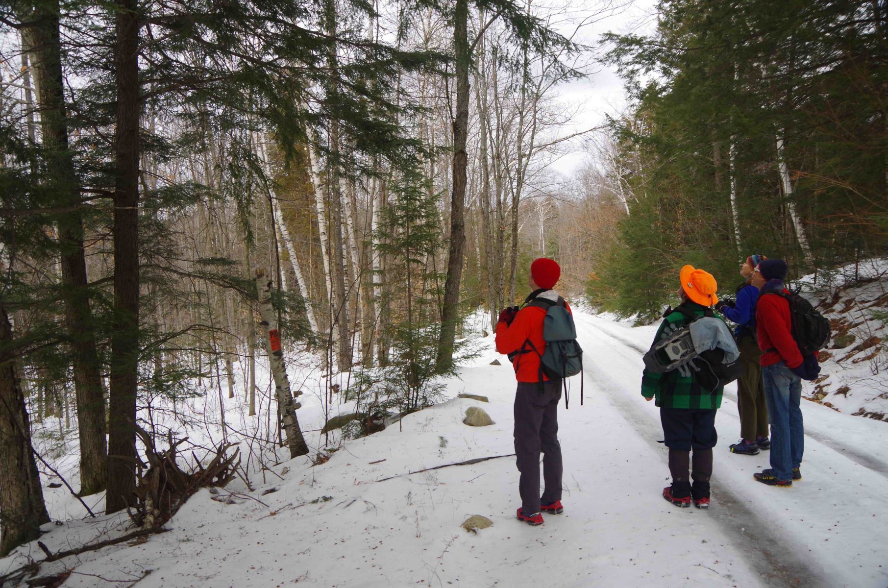 Intro to the Outdoors @  Noblewood Park