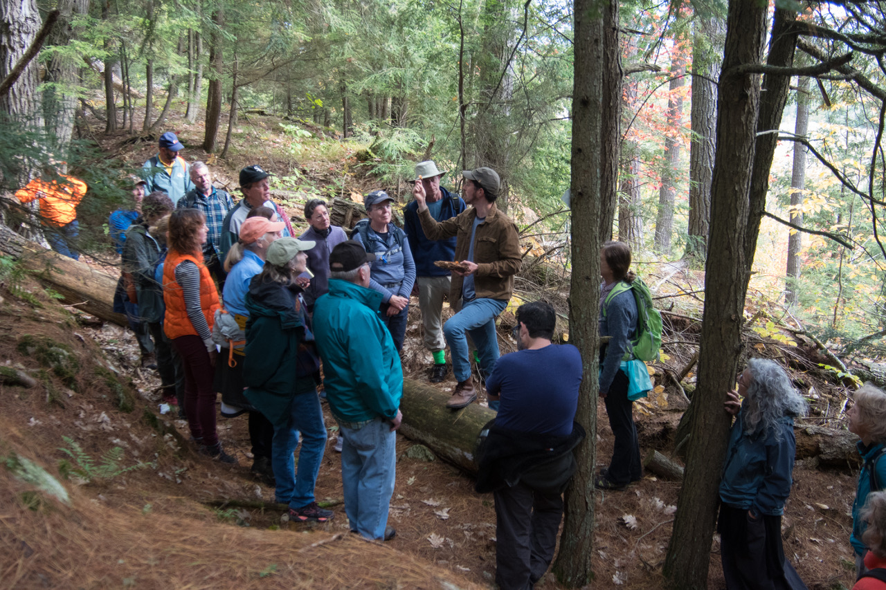 Exploring Mushrooms @ Black Kettle Trail