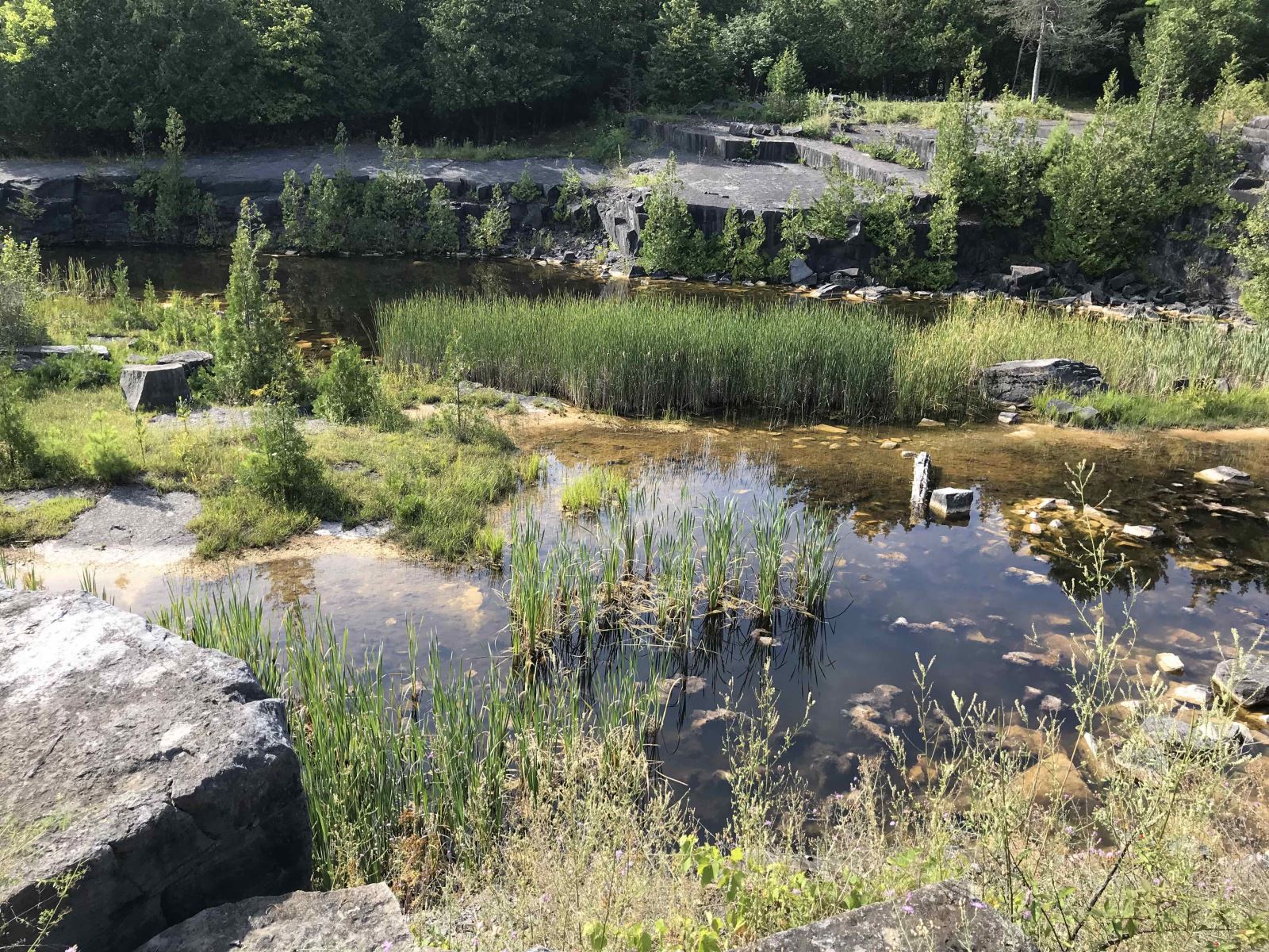 Working Hike @ Essex Quarry