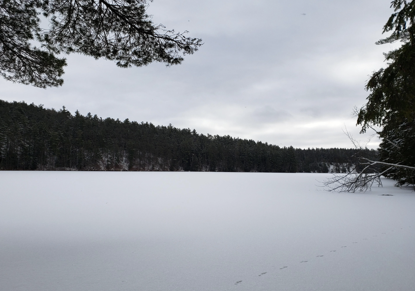 Women Hiking Event at Lost Pond Trail: Join Us for an Inspiring Day Outdoors