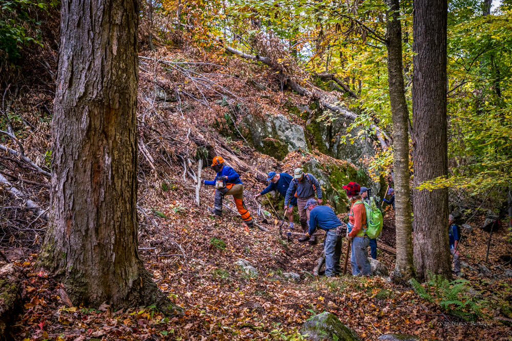 Second Saturday Trail Volunteering @ Twin Valleys