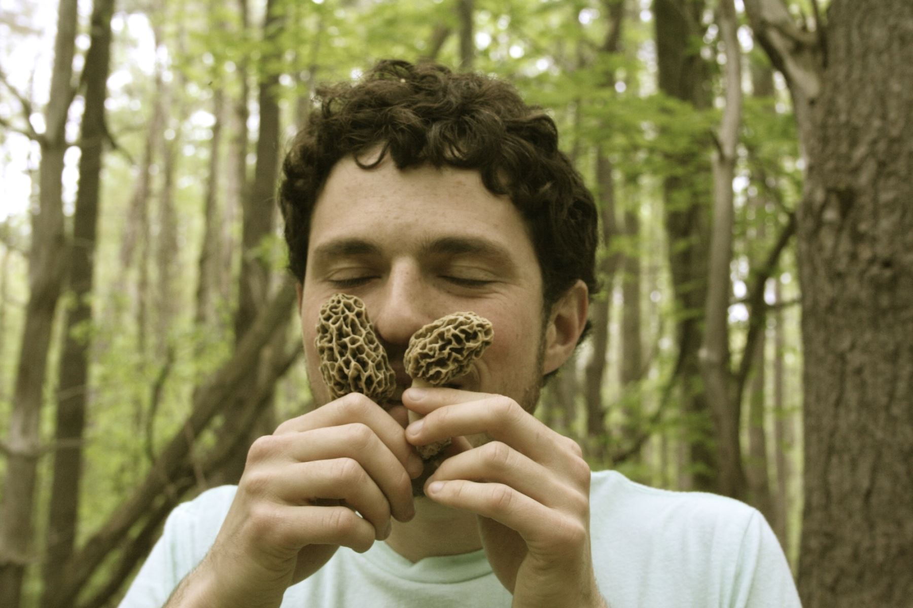 Champlain Area Trails hosts a special Mushroom Walk on September 8th in Essex